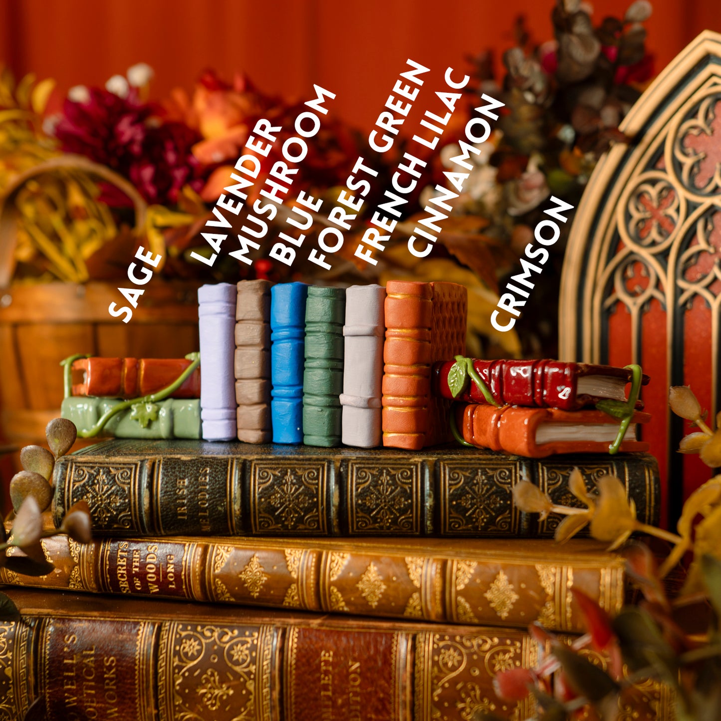 PREORDER: The Book Hoard | Dragon