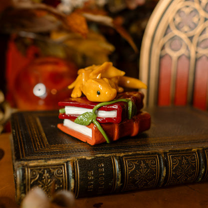 PREORDER: The Book Hoard | Dragon