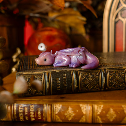 PREORDER: The Book Hoard | Dragon