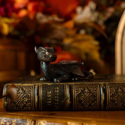 PREORDER: The Book Hoard | Dragon