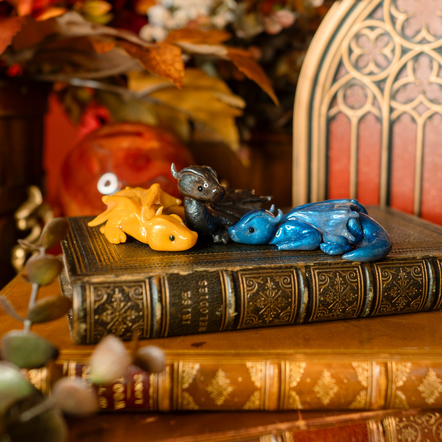 PREORDER: The Book Hoard | Dragon