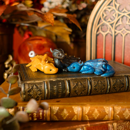 PREORDER: The Book Hoard | Dragon