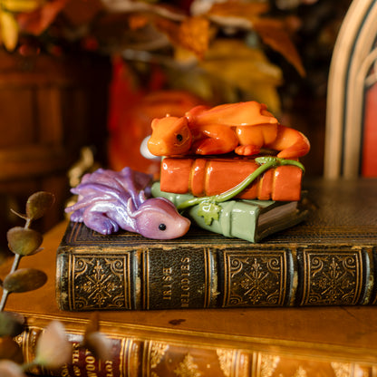 PREORDER: The Book Hoard | Dragon