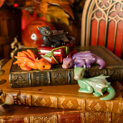 PREORDER: The Book Hoard | Dragon