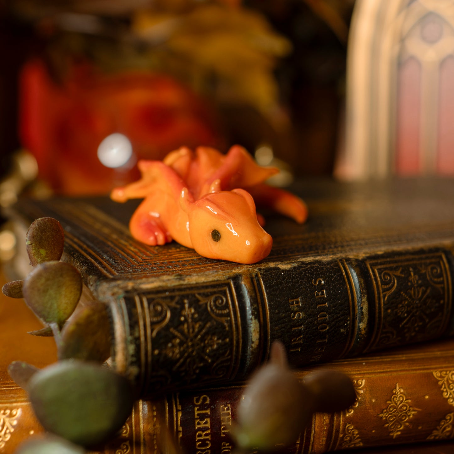PREORDER: The Book Hoard | Dragon