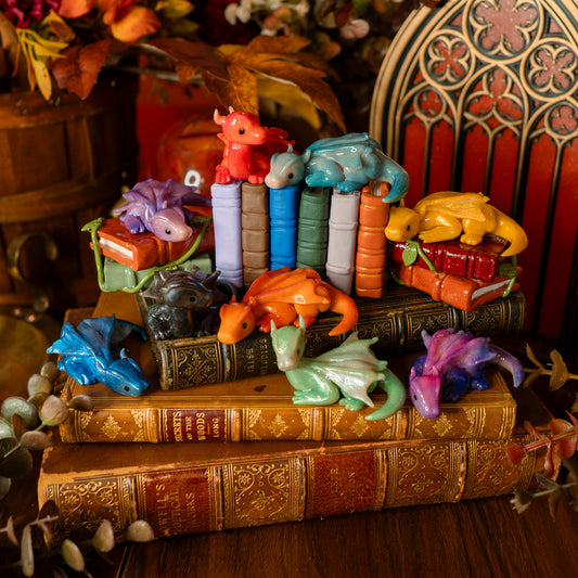 PREORDER: The Book Hoard | Dragon